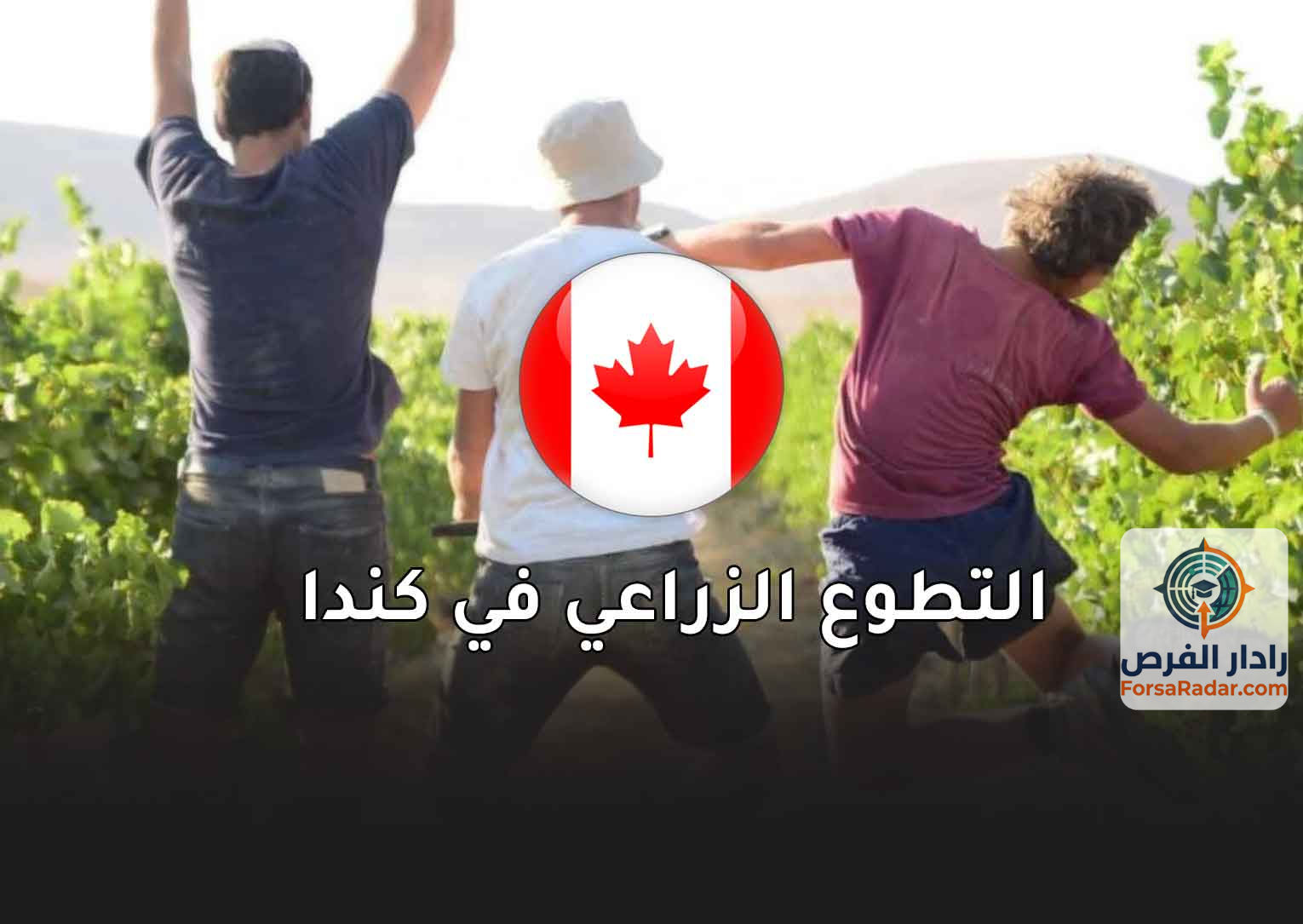 Read more about the article التطوع الزراعي في كندا المقدمة من الحكومة الكندية 2025