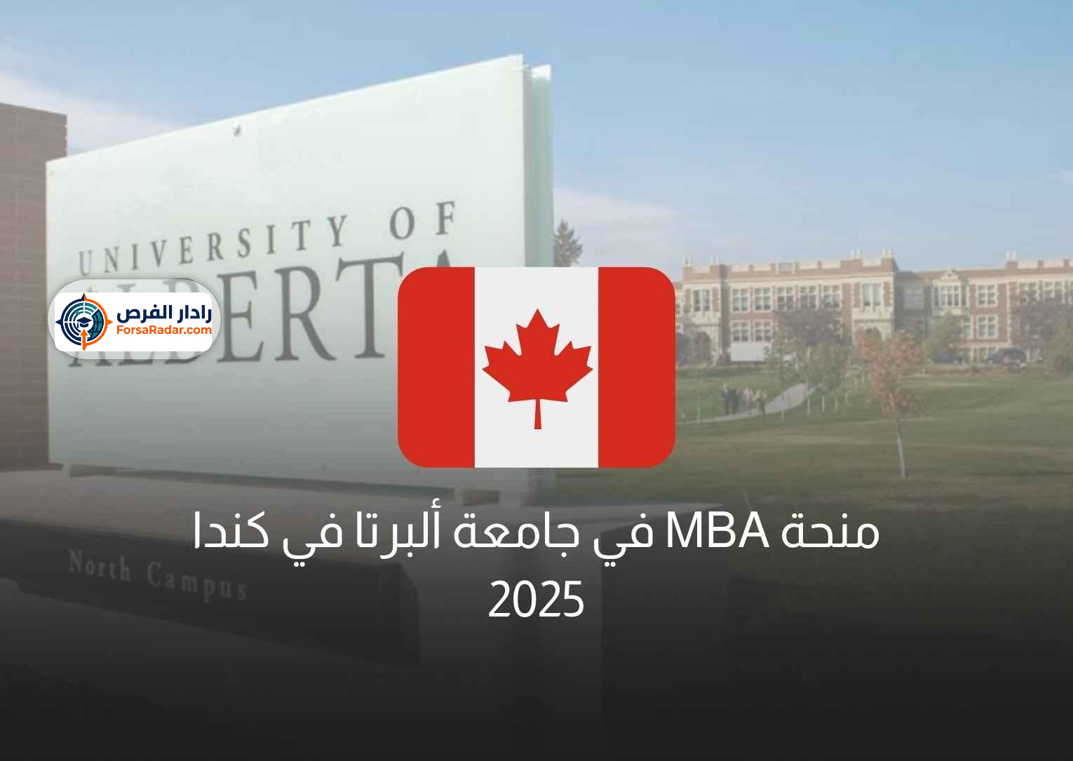Read more about the article منحة MBA في جامعة ألبرتا في كندا 2025