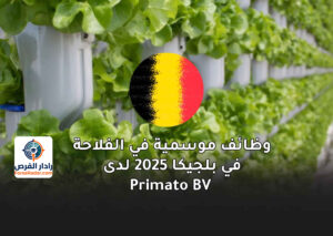 وظائف موسمية في الفلاحة في بلجيكا 2025 لدى Primato BV