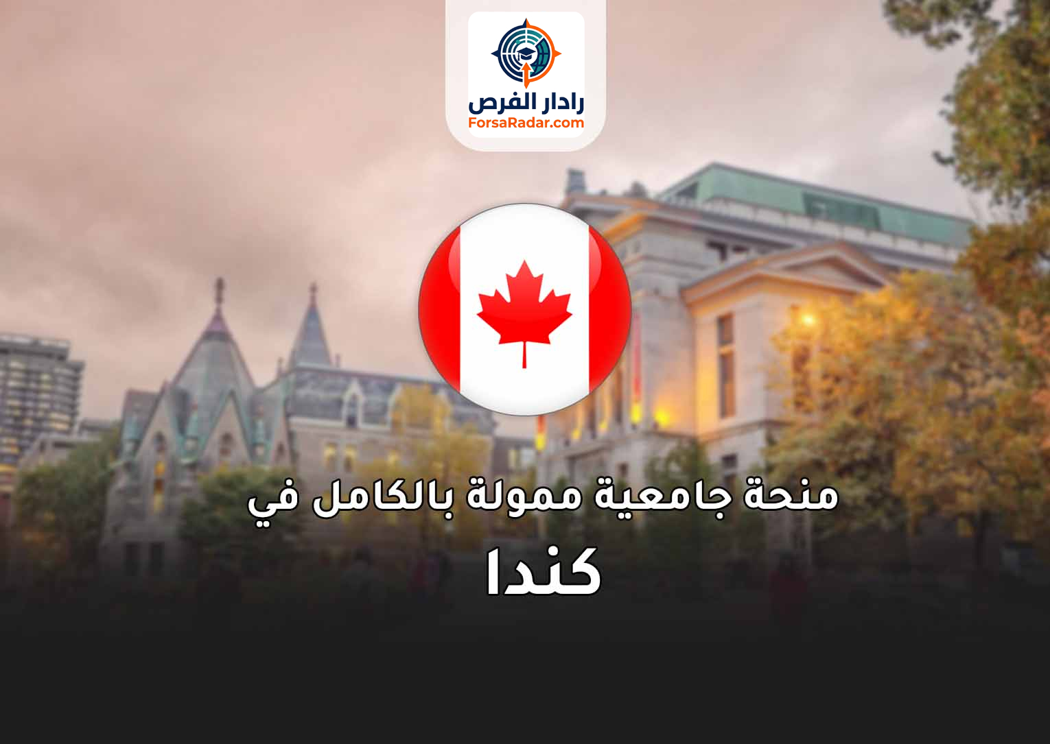 Read more about the article ادرس مجانًا في كندا 2025! جامعة ماكجيل تفتح التقديم الآن لمنح دراسية ممولة بالكامل للطلاب الدوليين