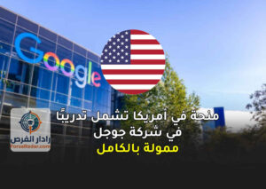 منحة في أمريكا تشمل تدريبًا في شركة جوجل | ممولة بالكامل